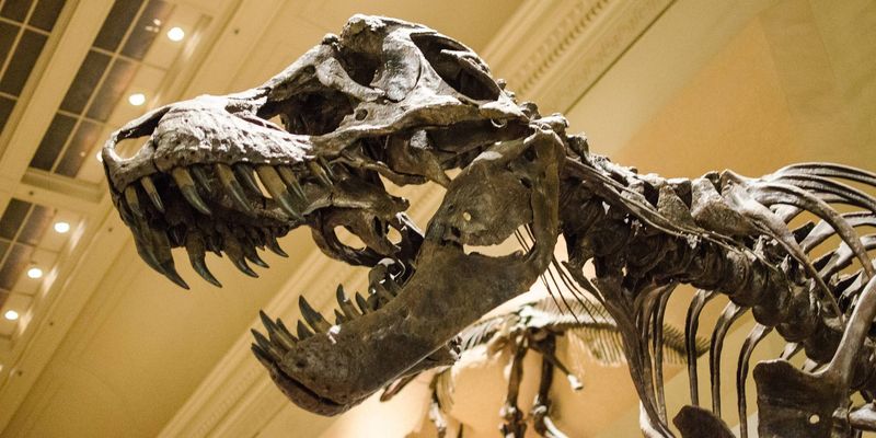 Палеонтологи знайшли батьківщину "короля динозаврів" Поштівка