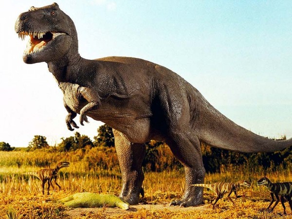Учені з Болівії виявили величезний слід динозавра Поштівка