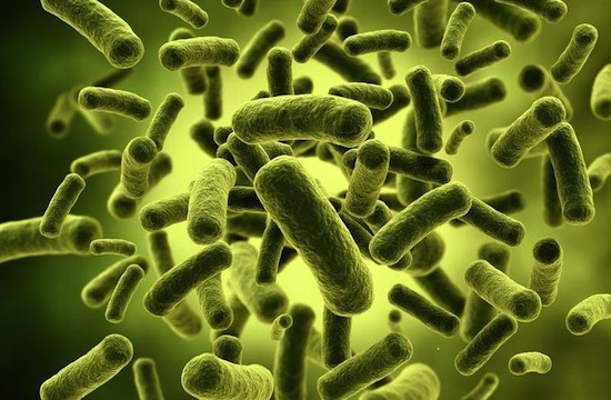 В Йєллоустоні виявили "інопланетні" мікроби Поштівка