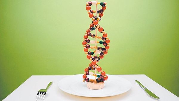 Генетики з США знайшли ген ожиріння Поштівка
