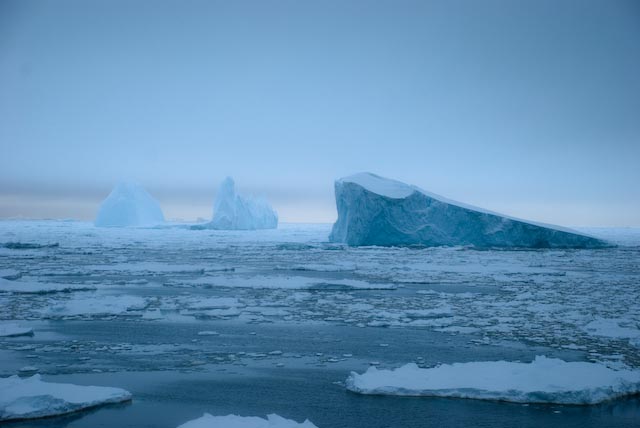 В Антарктиці створять найбільшу морську заповідну зону Поштівка