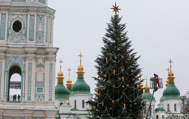 Київзеленбуд іноваційно захищає хвойні дерева від браконьєрів Поштівка