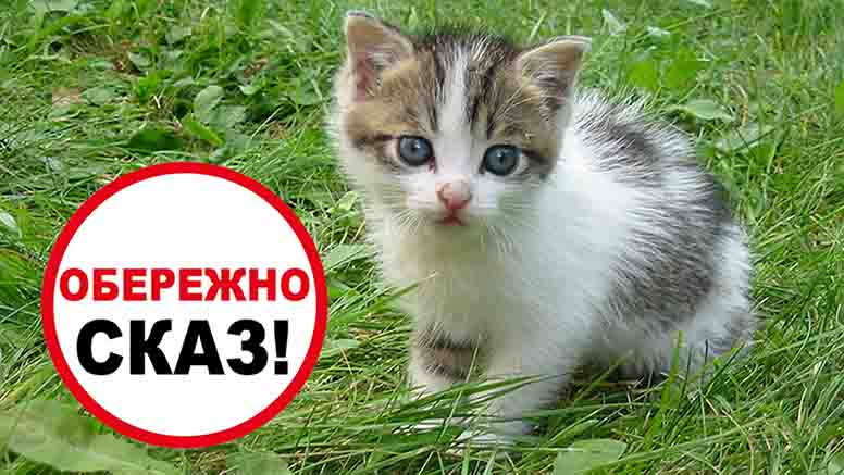 обережно сказ